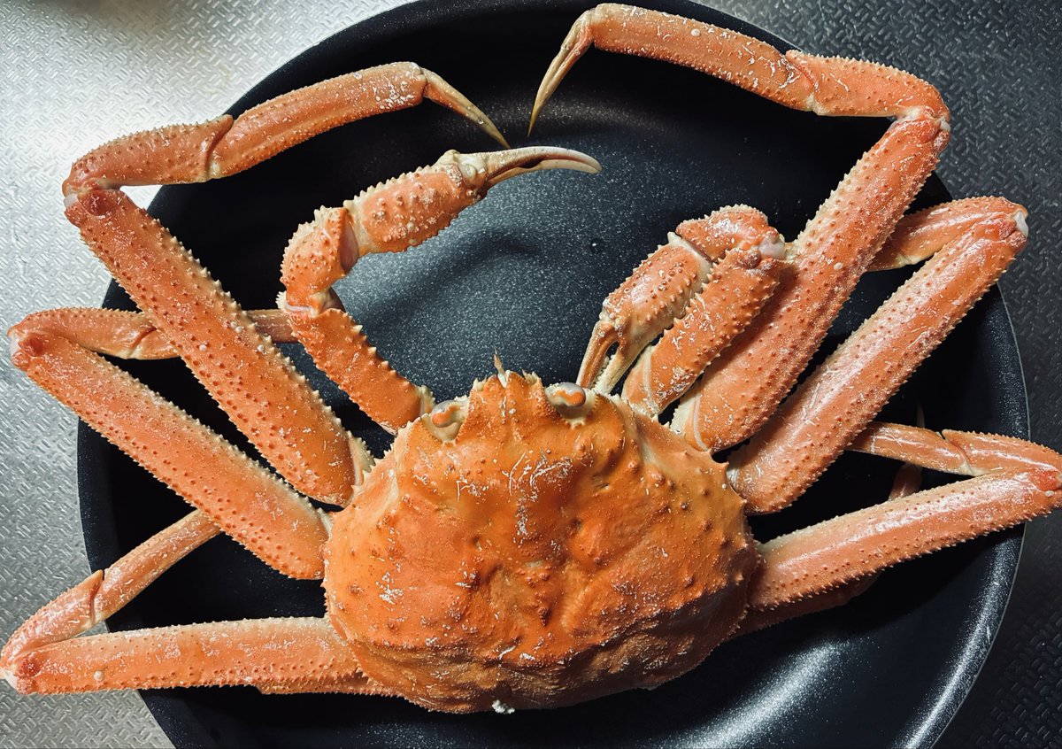 べる(Belleisle)🍀 on X