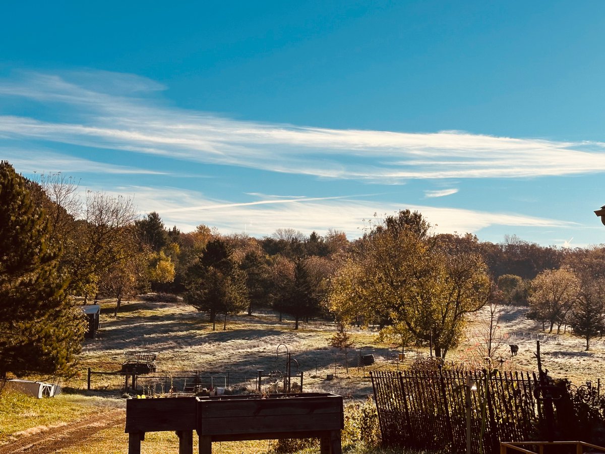 Good morning from my milk pick up!