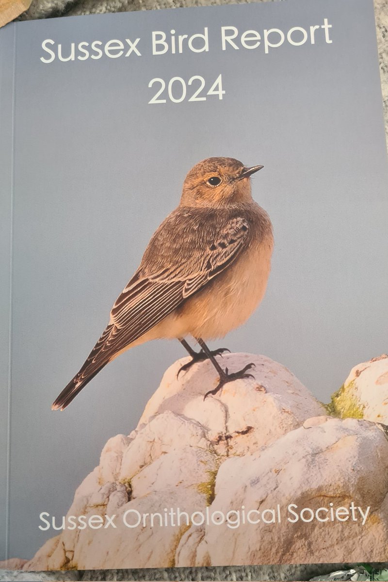 Great to come in from work to find this fantastic report in today's post, seems to get earlier every year! Well done all <a href="/SussexOrnitholo/">Sussex Ornithology</a> 
Great to read my 'Northern' Treecreeper find was accepted by the BBRC and a second for Sussex <a href="/SussexBirding/">Sussex Birding</a>