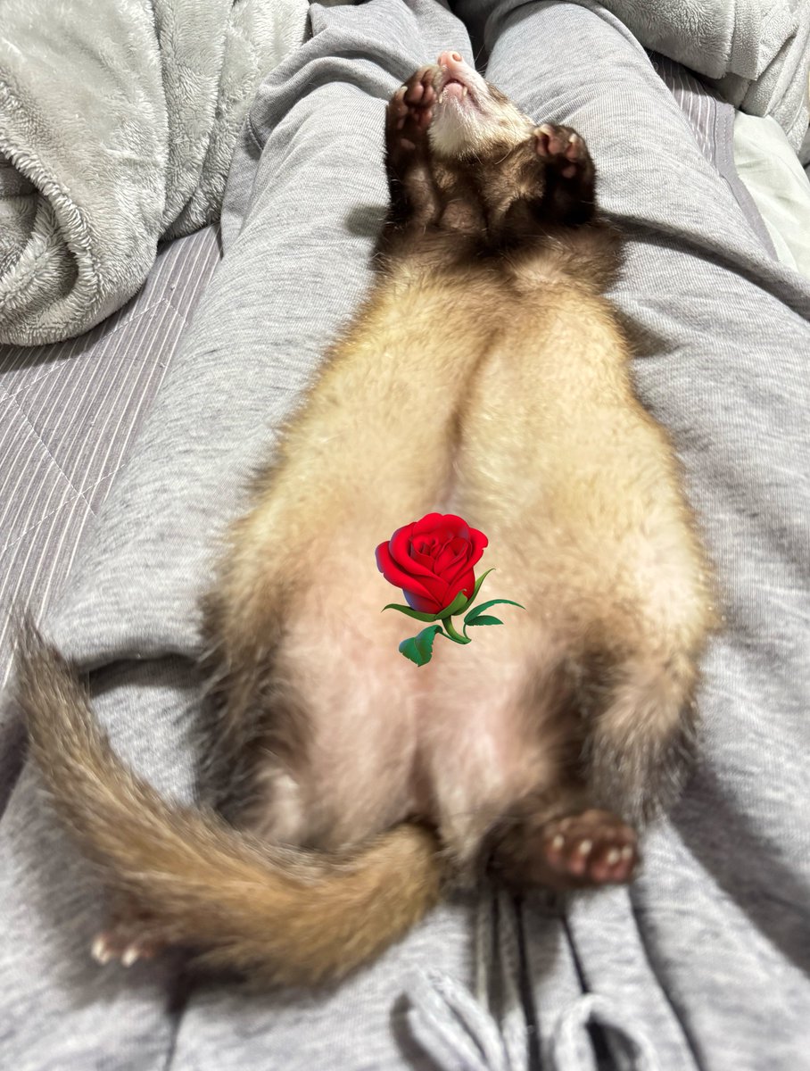 流石に疲れてバイトと水だけ食べて飲んで寝ちゃった
お薬は明日の朝から開始しようね