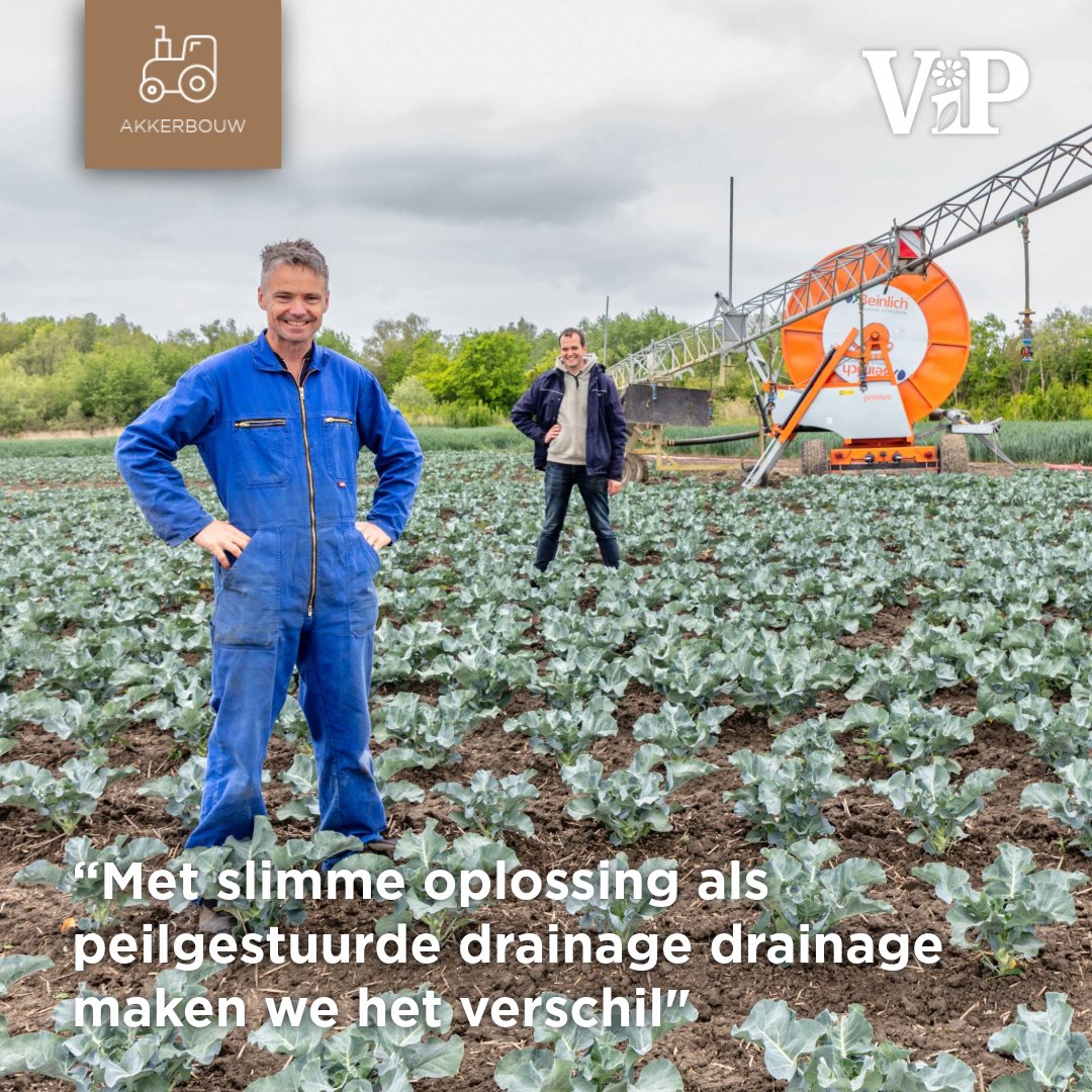 In het hart van Walcheren, op een vruchtbare kreekrug in Westkapelle, runt Bart Dekker met toewijding en visie zijn groentebedrijf De Prelaat VOF. Wat begon als een droom in de jaren negentig is uitgegroeid tot een voorbeeldbedrijf in duurzame vollegrondsgroenteteelt, met een