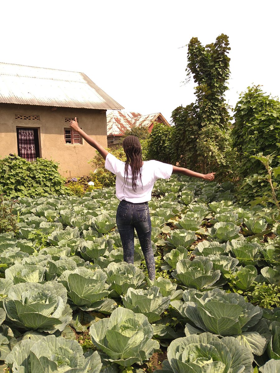 98491Aline's tweet image. The happiness I feel when I see the crops I planted growing well is beyond words. Dear followers, keep believing and working hard the key to success is discipline and consistency. The future is bright!
#YouthInAgriculture
#FutureIsBright
#AlineAgronomist