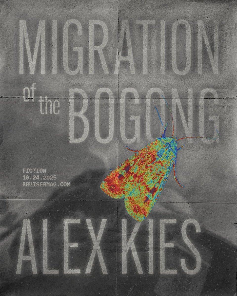 bruisermag's tweet image. I’ve been dreaming up people and grievances, forgetting which were invented: the people or the grievances, or both or horrifyingly neither. 

MIGRATION OF THE BOGONG by Alex Kies ↓