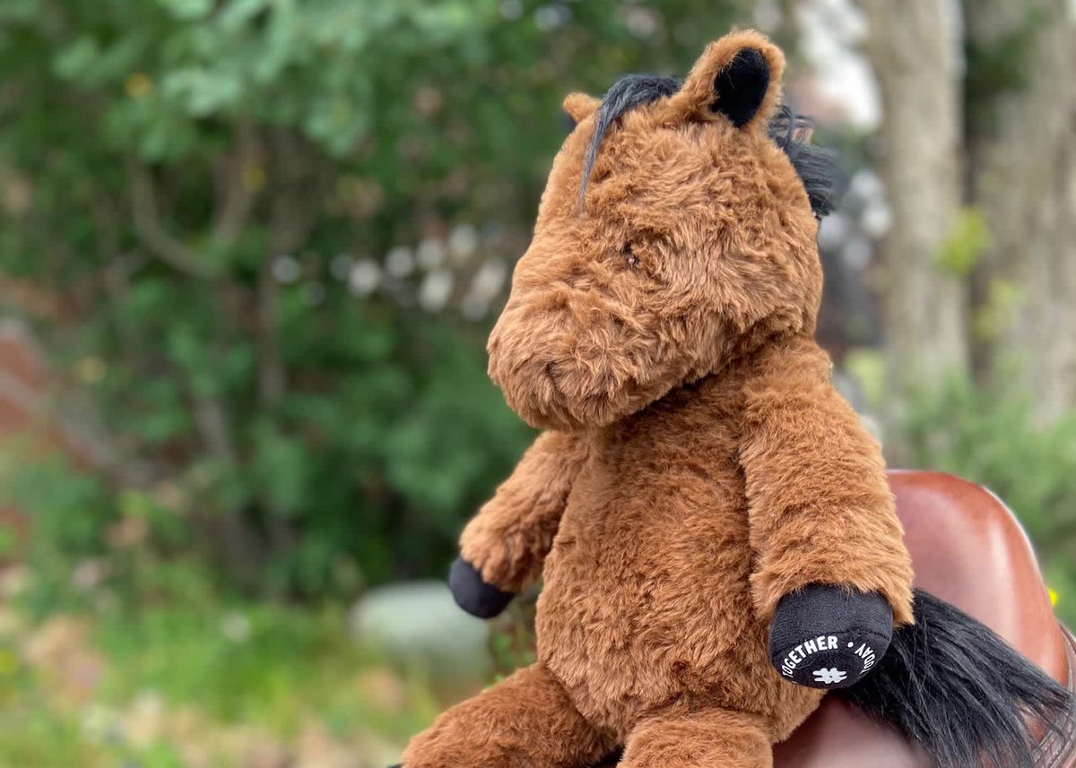 Don't be fooled, Agano is way more than just a stuffed horse. He's a go-anywhere symbol of comfort, hope, and resilience, while offering solace and support when you need it most. AND HE'S FREE. <a href="/WeRideTgether/">#WeRideTogether</a>  

World, Meet Agano 
link.horsenetwork.com/4ouMjI0