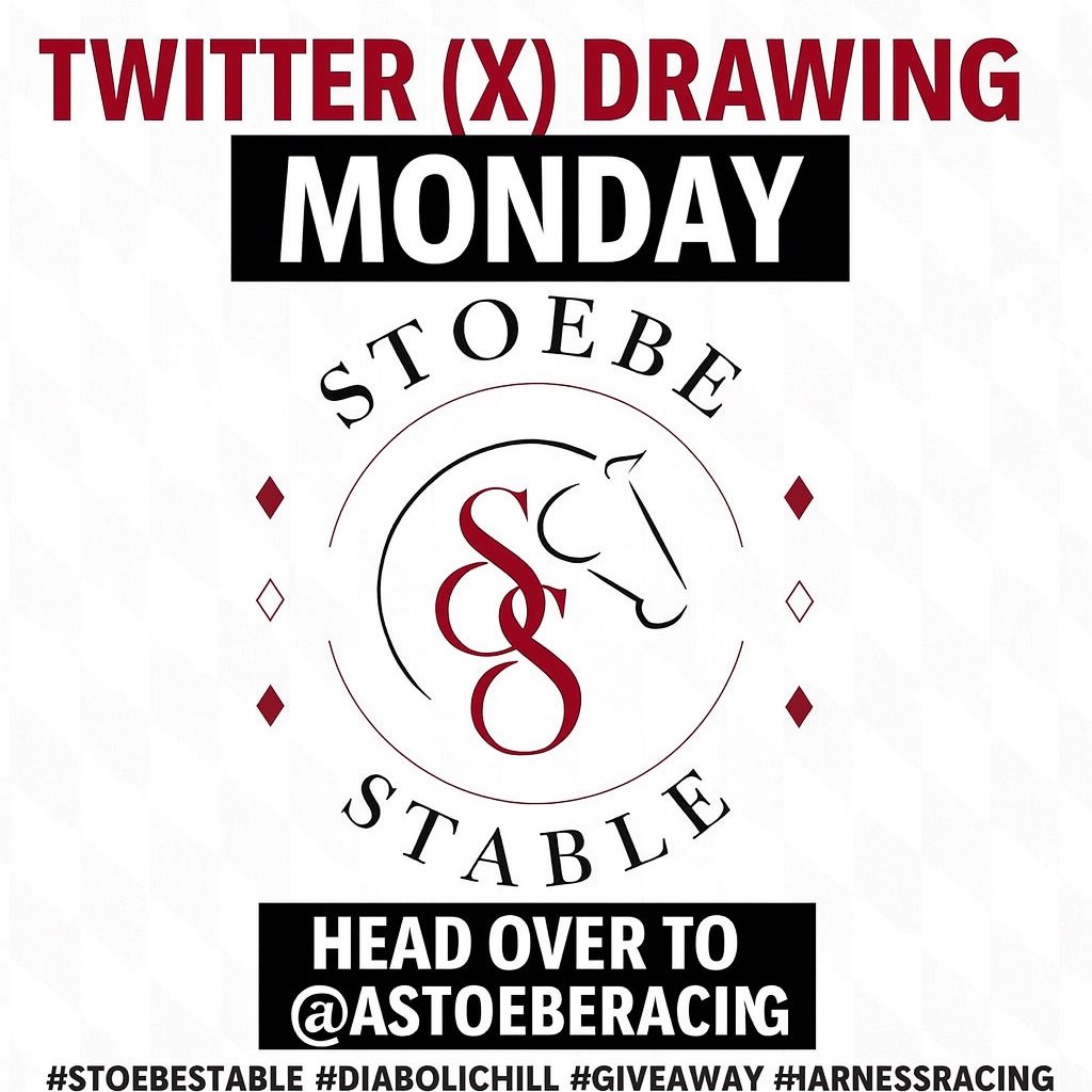 AStoebeRacing's tweet photo. Don’t forget! We are giving a DIABOLIC HILL t-shirt away on Monday! All you have to do is follow us on here 🤗

REPOST for an extra entry into the drawing!

#giveaway #stoebestable https://t.co/k0oVIW18ee
