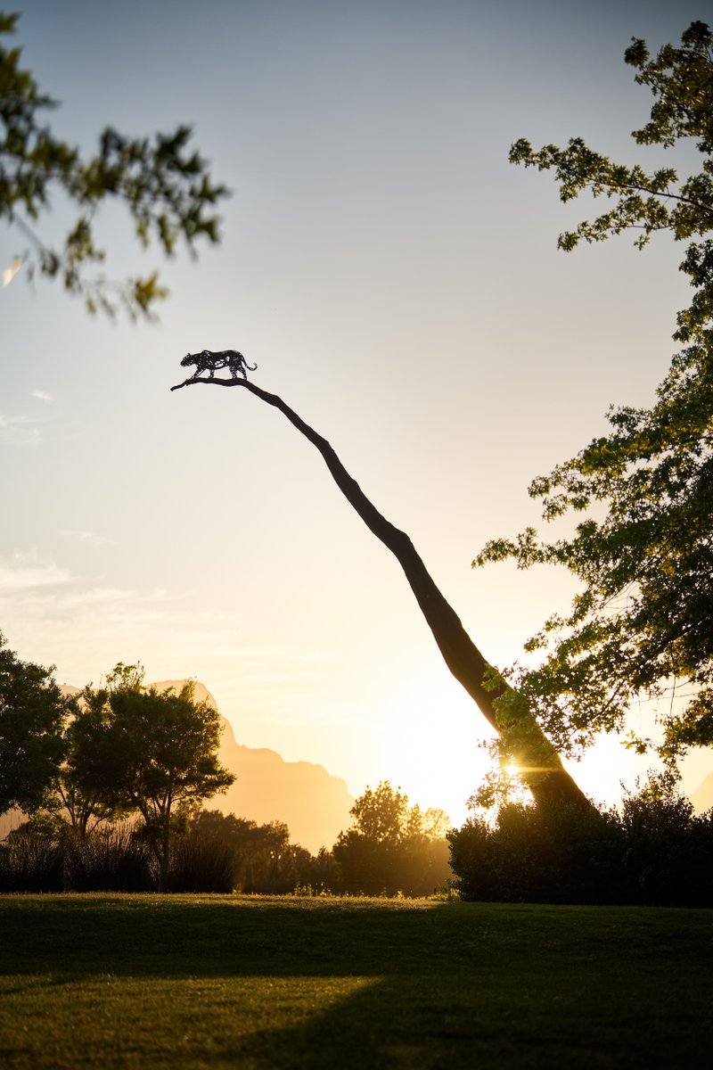 Leopard's Leap tweet media