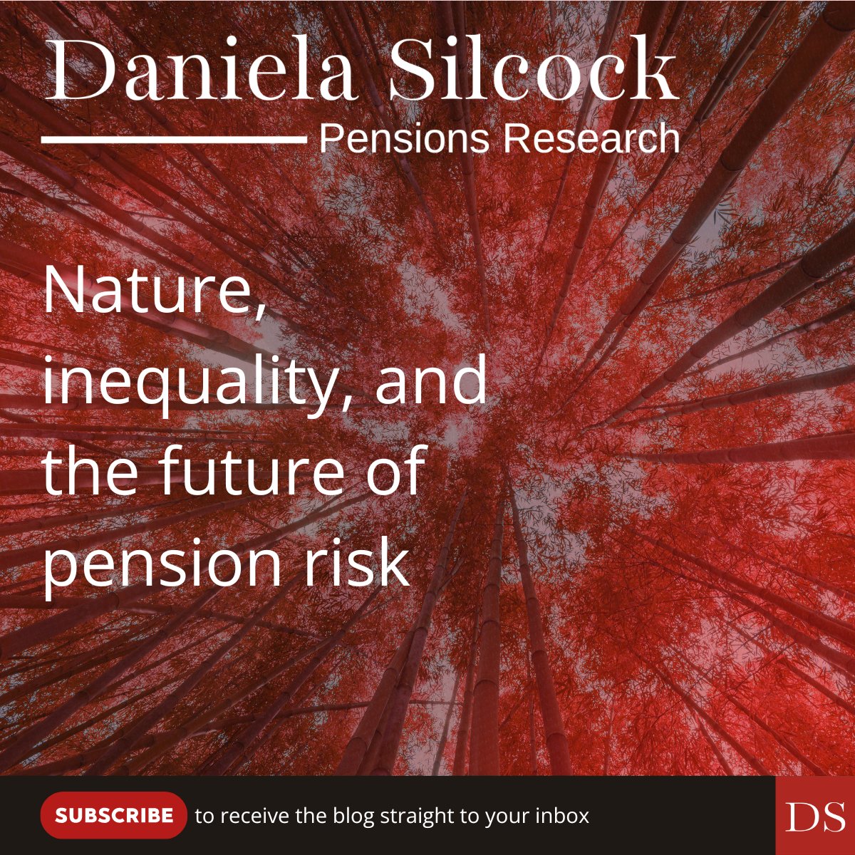 Daniela Silcock tweet media