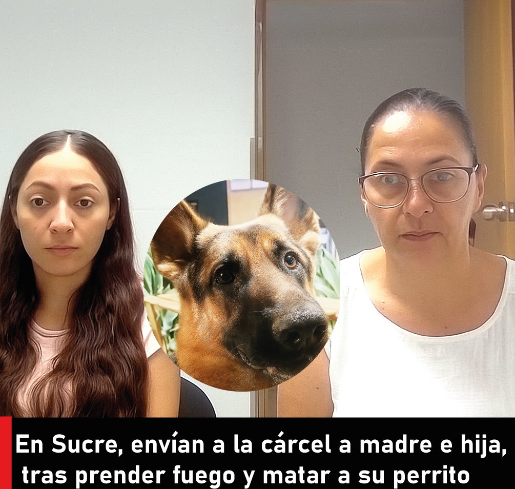 Como Teresita de Jesús Alcocer y  Arlin Winneth Cuello, fueron identificadas las mujeres que rociaron gasolina sobre su perrito Rommy, y posteriormente le prendieron fuego, con la excusa de que estaba "poseido" 🤬

Tras la audiencia y ante el relato de estos crueles hechos, un