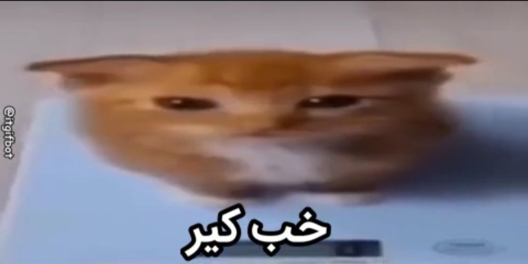 اومدم بگم رسید بدم
گفتم چیز بدم