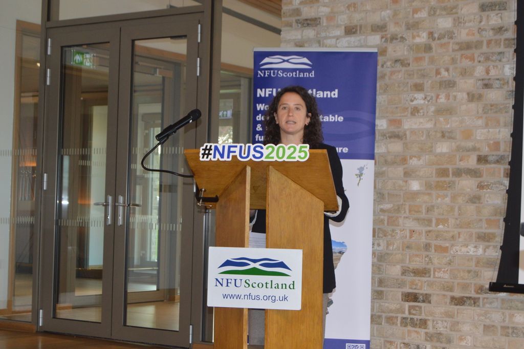 NFUStweets's tweet image. 📢 Cabinet Secretary @MairiGougeon announces £7.4M boost to the Future Farming Investment Scheme now totalling £21.4M (+50%)
Thanks to our sustained pressure, farmers &amp;amp; crofters will get the support they need to invest in a sustainable future 🌱🚜
#ScottishFarming #FFIS #AgPolicy