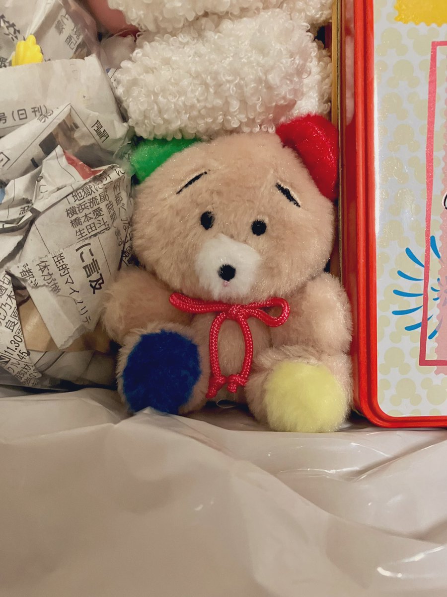 #くずみちゃんぬいぐるみキーホルダー

おうちに来てくれてありがとう🧸

さっそくだけど新しいおうちにお引っ越しです！

ミチミチカプセルの次はミチミチダンボールでごめんね😂