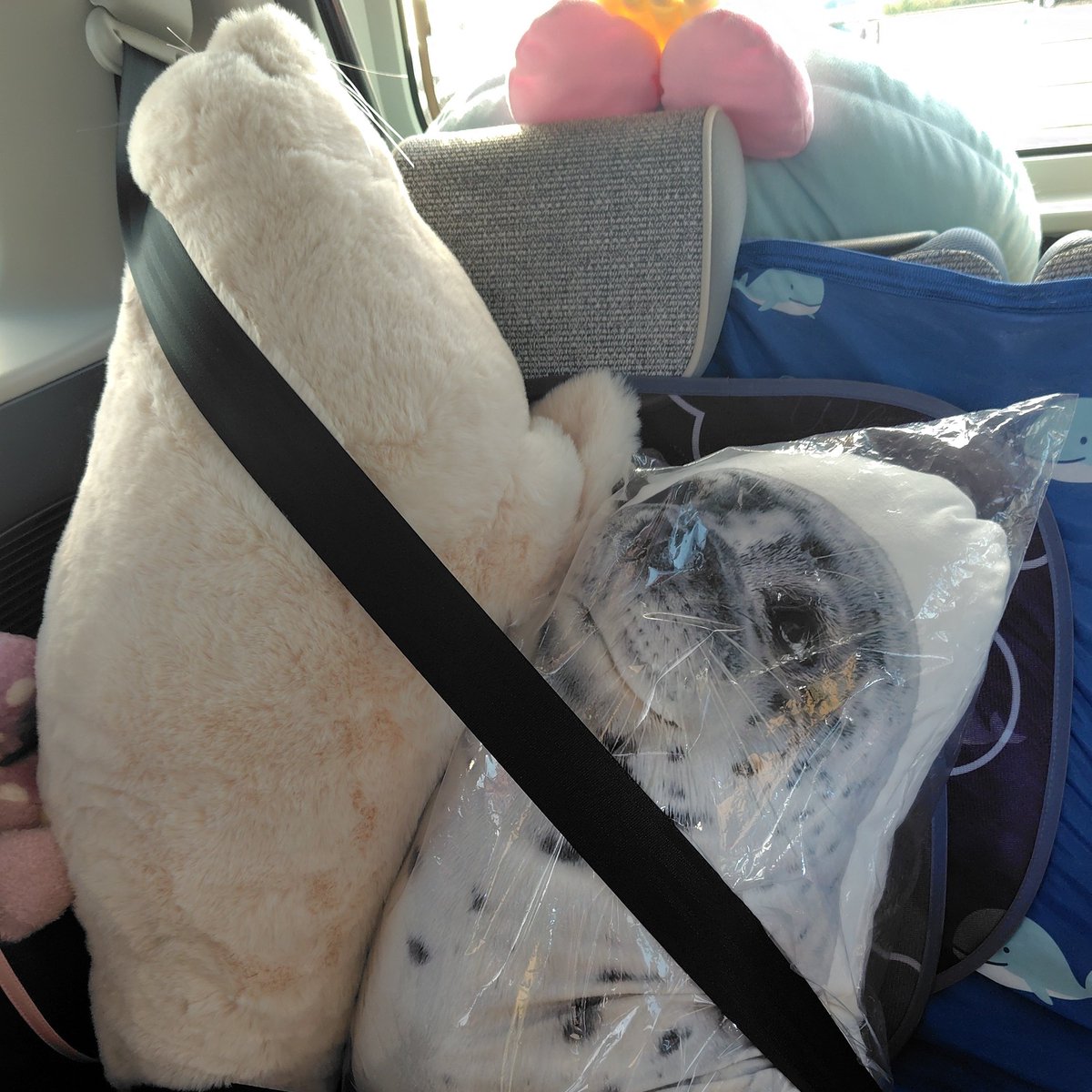 メザシ太郎 Tetsuya Tsurugi/ZERO | Mazinger Wiki | Fandom