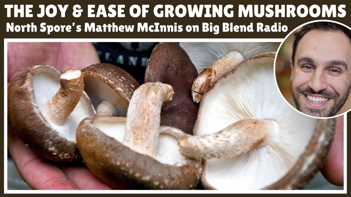 Big Blend Radio & Magazines tweet media