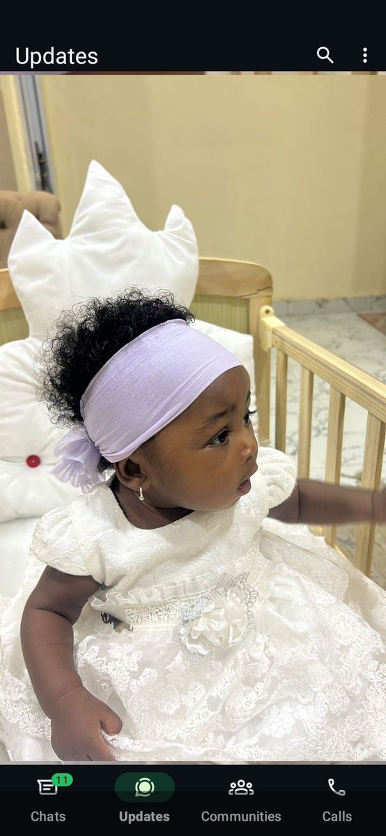 smartkingc20's tweet image. The @idOS_network epoch 1 snapshot was done let keep harder on @wallchain to QUACKS AND QUAKERS