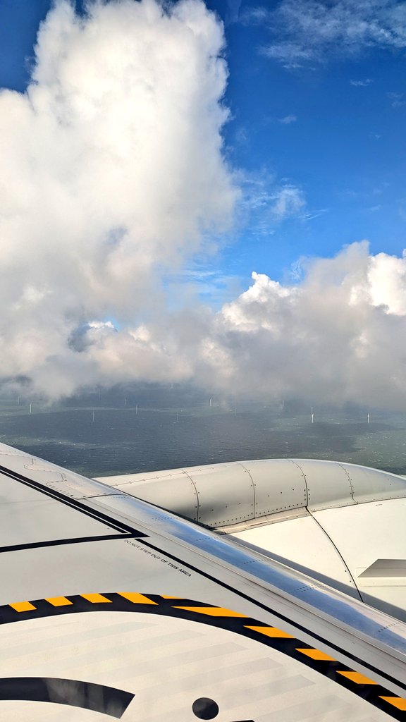 Imalouイマル tweet media