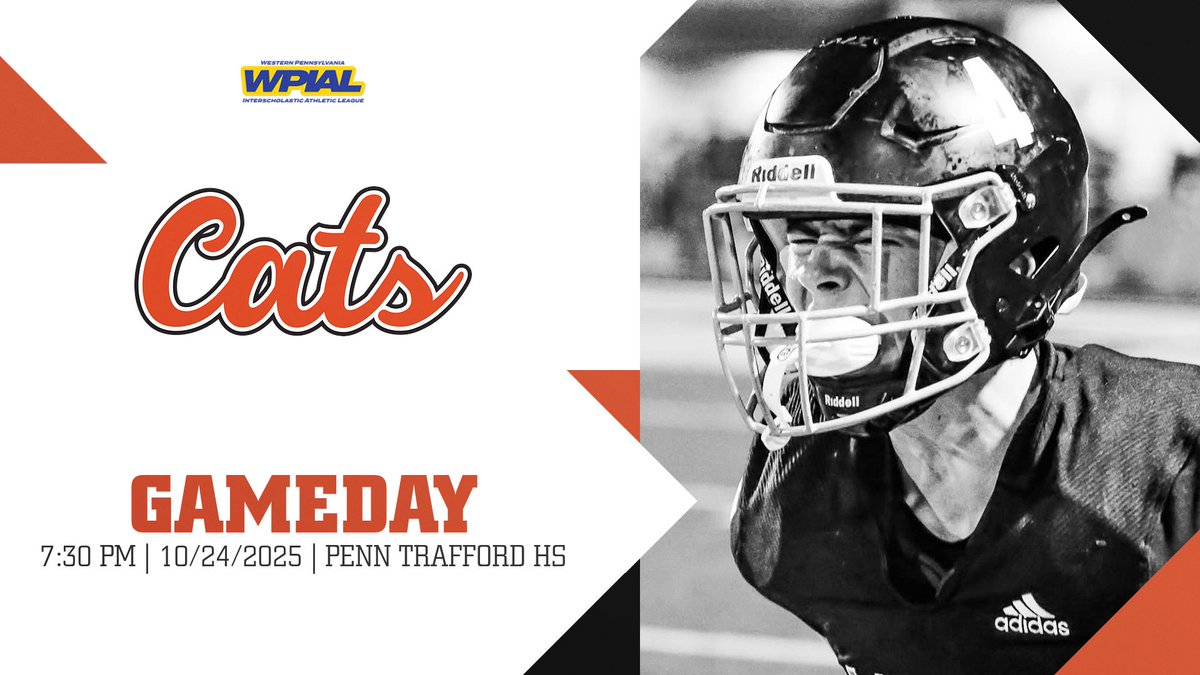 Greater Latrobe Wildcat Athletics tweet media