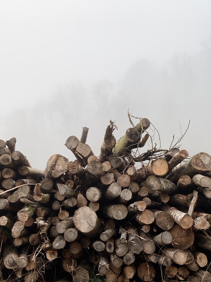 CaseyBHead's tweet image. The masculine urge to have a long winter.