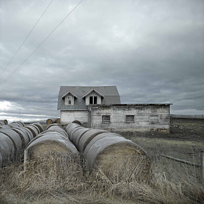 CaseyBHead's tweet image. The masculine urge to have a long winter.