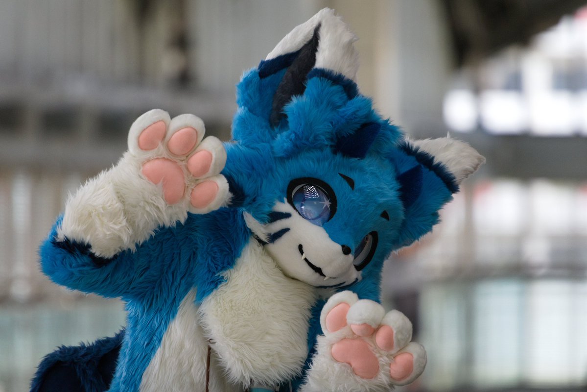 ThisIsThePi's tweet image. This is one of the nicest photo of Pi! Happy #fursuitfriday!