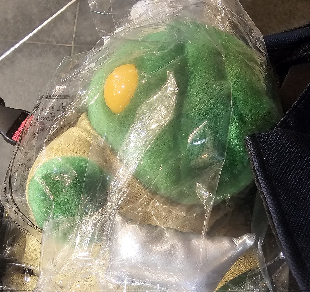 Kidnapped a tonberry