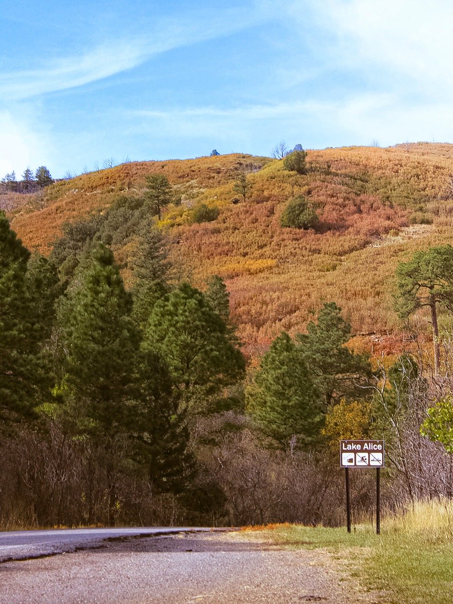 exploreraton's tweet photo. THIS is your sign to roll down your windows and follow the color! 🍂

Raton is your pass to open roads and fall adventures! 🚗🍁

📍: Sugarite Canyon State Park

#NewMexicoTrue #NewMexico #RatonNM #ExploreRaton #RatonNewMexico #FallDrive https://t.co/lzonSbhGoX