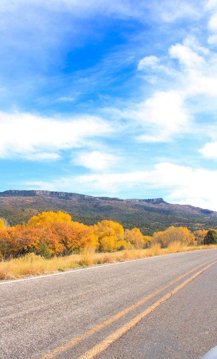 exploreraton's tweet photo. THIS is your sign to roll down your windows and follow the color! 🍂

Raton is your pass to open roads and fall adventures! 🚗🍁

📍: Sugarite Canyon State Park

#NewMexicoTrue #NewMexico #RatonNM #ExploreRaton #RatonNewMexico #FallDrive https://t.co/lzonSbhGoX