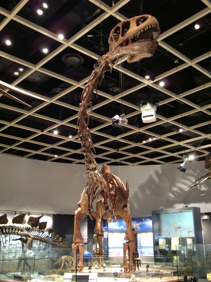 k-ta(けーた)_腰がジワっとイタイ系 (@kta92751434) / Posts / X