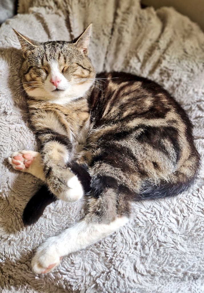 Have a great Friday everyone love Winksy x