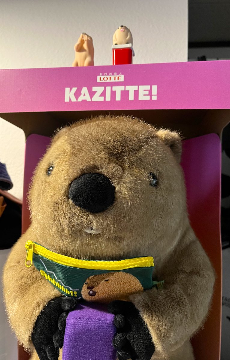 小物 puuchan shinchan@スコミチ on X