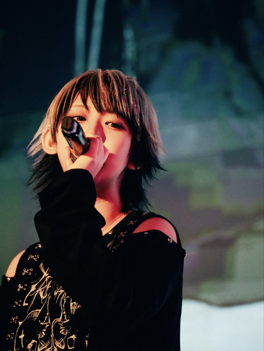 オーダー】みけねこ様 No.247 No.228 No.316 🤡🤡🤡