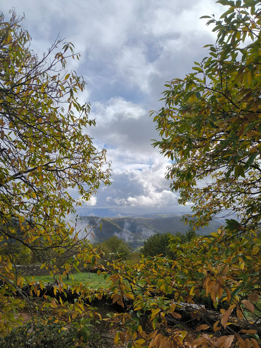 Dr. Paalmipedus 🦆 tweet media