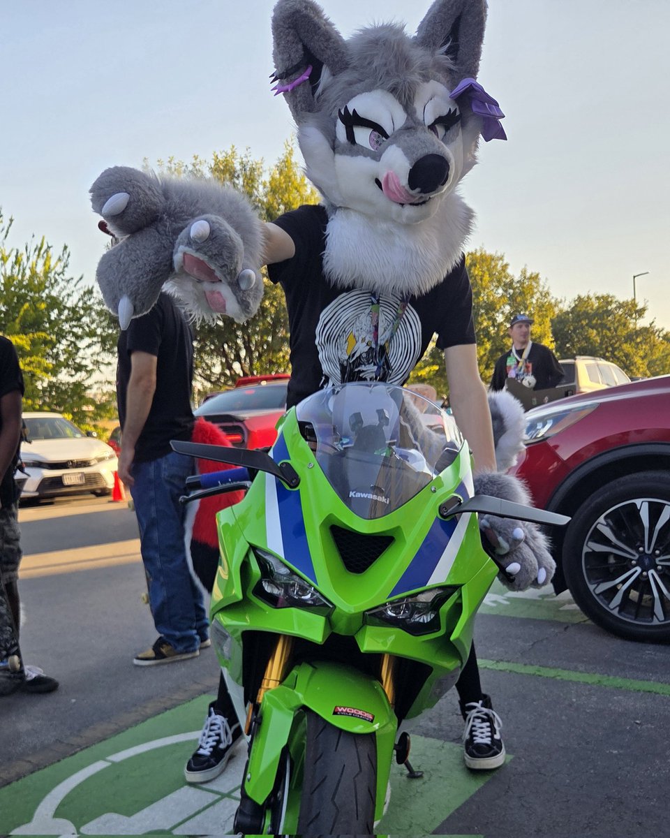 Taking out the kawasaki for #FursuitFriday! (Jk is not mine it's <a href="/Vironect/">🐉Vironect🐉</a>)