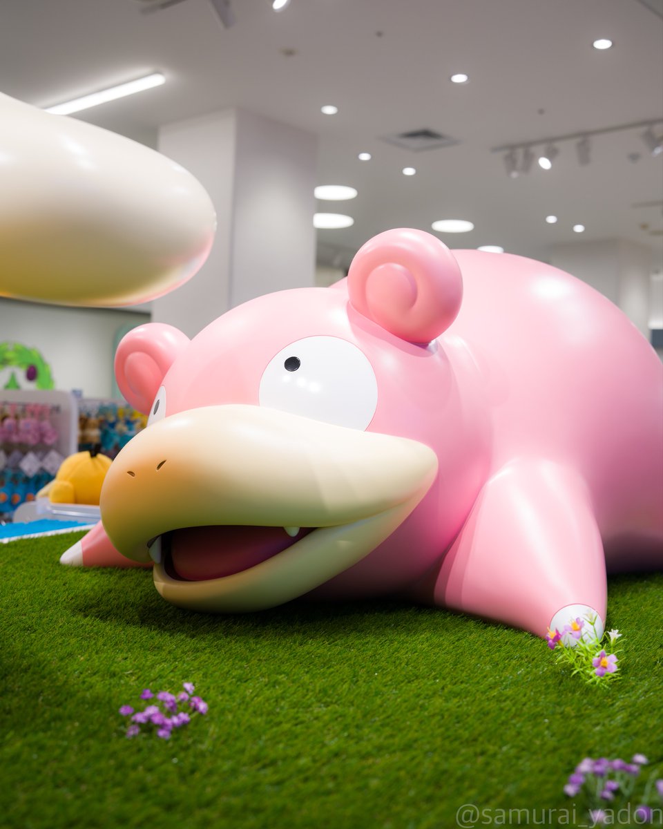 かよ(・8・)@米ﾗﾌﾞ🍚(ﾟ∀ﾟ) (@ymkypyfm) / Posts / X