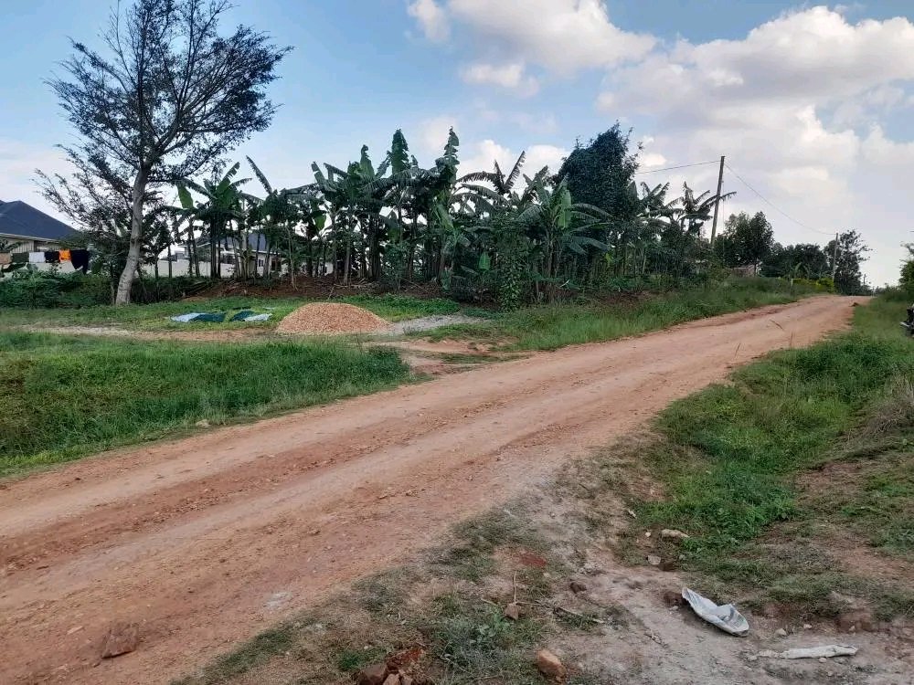 shukranproperty's tweet photo. QUICK SALE ✴️
PLOT FOR SALE
Located at Matuga, Gombe, Wakiso District.
50ft by 100ft ~ #12Decimals
Selling Price at #15m Ugx
Private Mailo Land title available
2.5km from Gombe Town, it starts with main Road
0706592177 https://t.co/lPb1FTfeJW