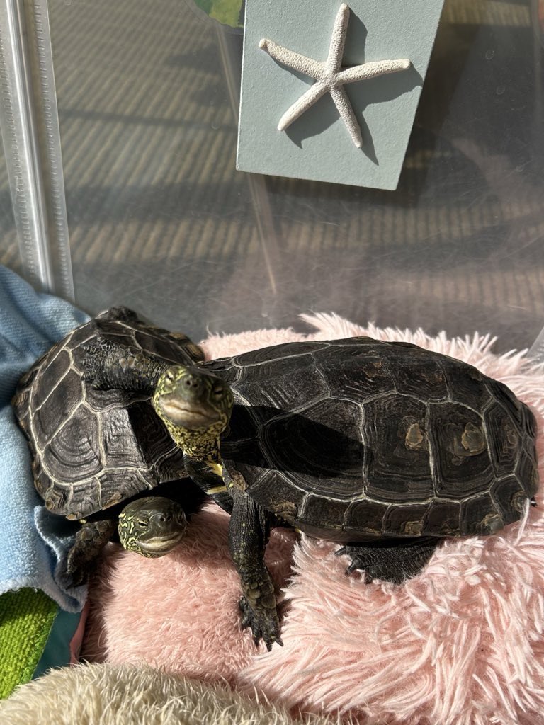 まりりん◡̈♡ まりりん on X