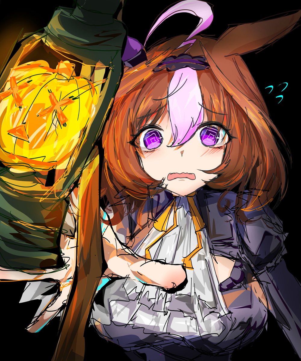 メイショウドトウ