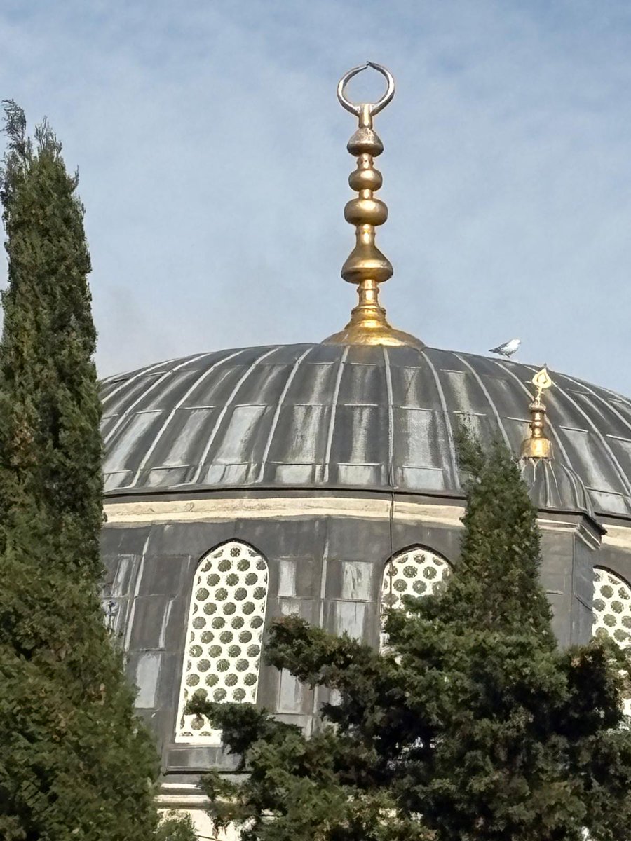 Zekeriya_Say's tweet photo. 2 - Bu görsel de Valide-i Cedid Camii'nden...
*
Not: Fotoğrafları çeken tanıdık https://t.co/ZQ8m3nyTXB