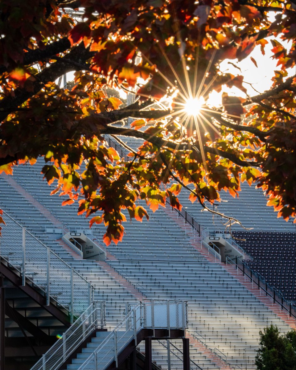 Virginia Tech Football tweet media
