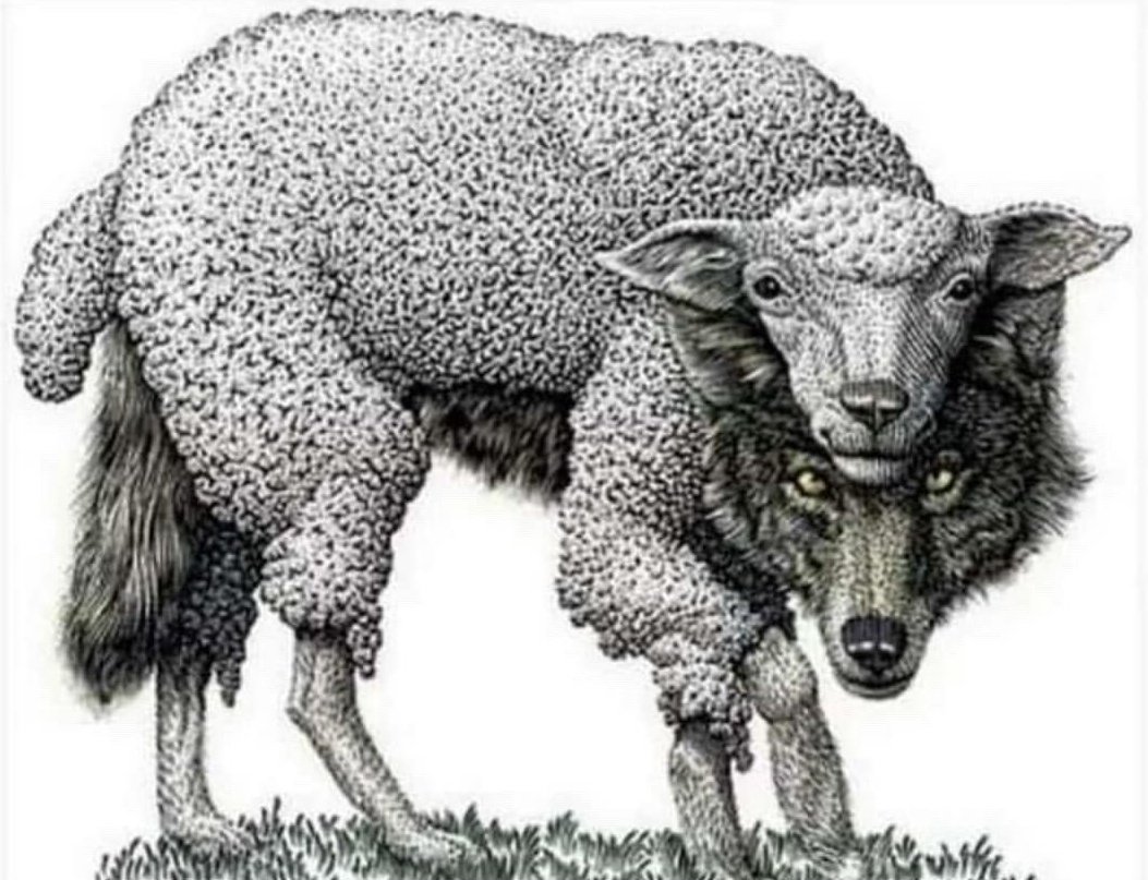 lulikcalhater's tweet image. "bizarro esse negócio de edtwt né amiga"