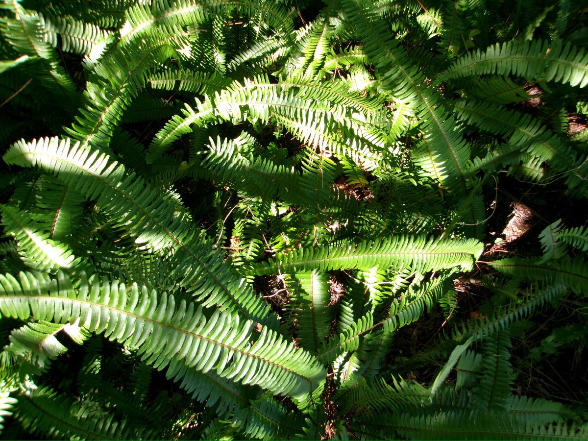 laffodiI's tweet image. in the presence of art