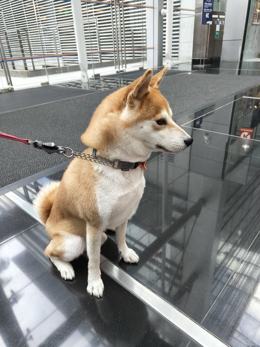 kurai小暗✨ VGEN Comms Opened!!! tweet media