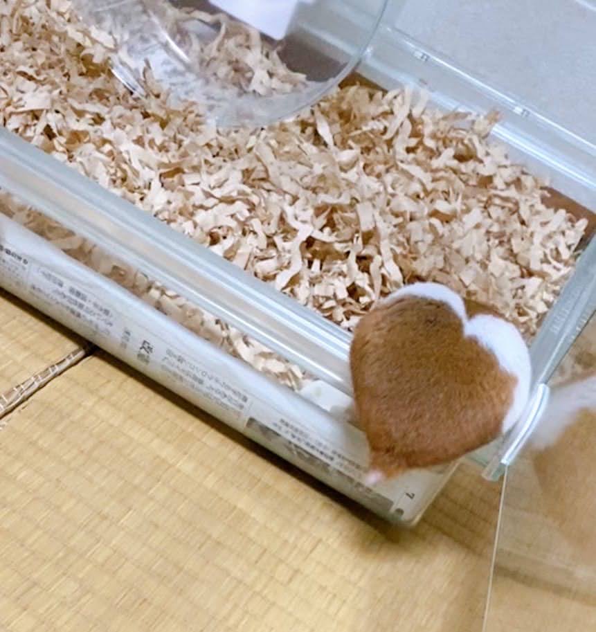 ベーやん様♡専用ページ②です YEAR SET べやん on X