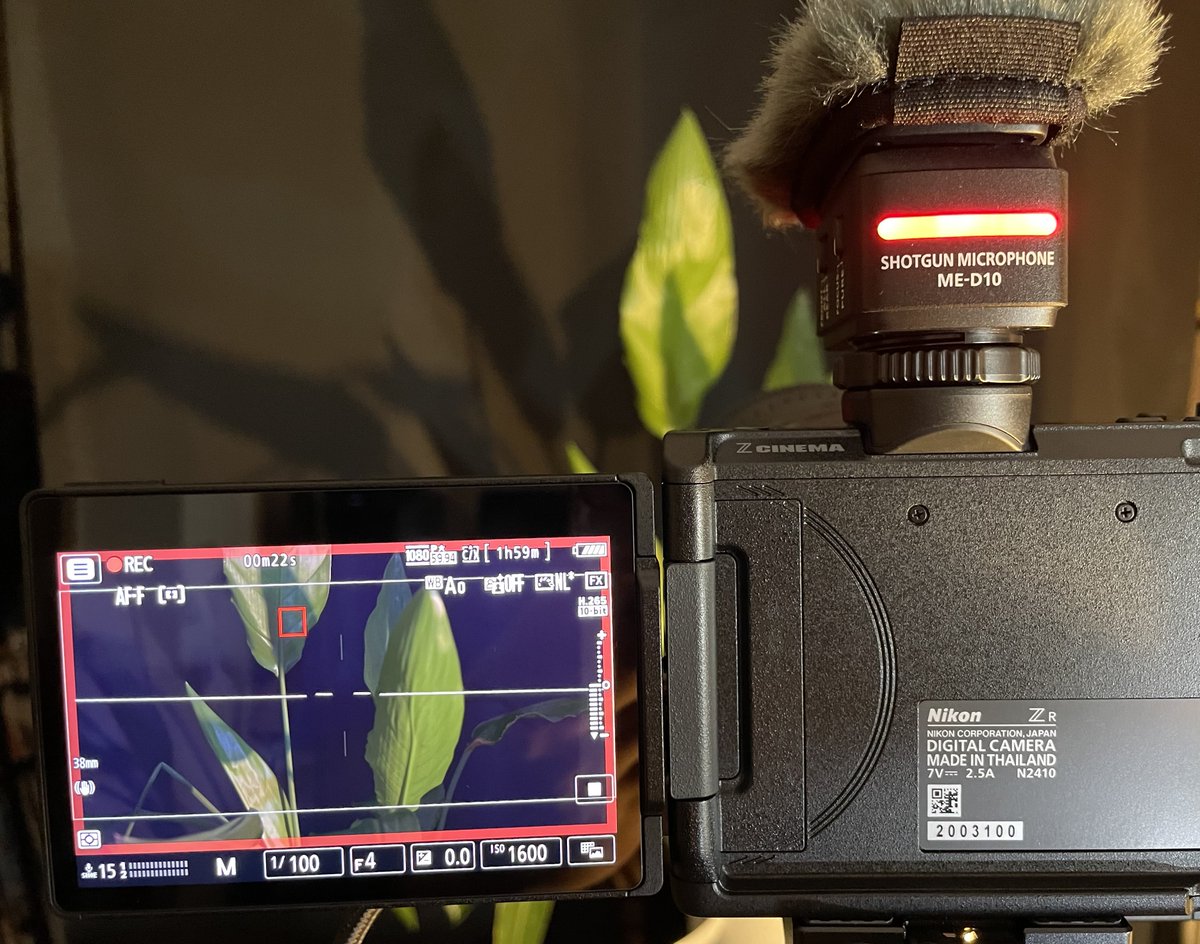 II99474137's tweet photo. Nikon ZRと
ガンマイクME-D10を同時購入‼️
マイク背面のタリーランプは想像以上に良い‼️
28-135F4と組み合わせてのRS4pro搭載は、フロントヘビーになりバランスはギリギリ
ND付けると無理💦
早速L型ケージを注文した

Cケーブル接続の位置が良いから、ローアングルが撮りやすい‼️ https://t.co/Sk0R5q7NrO