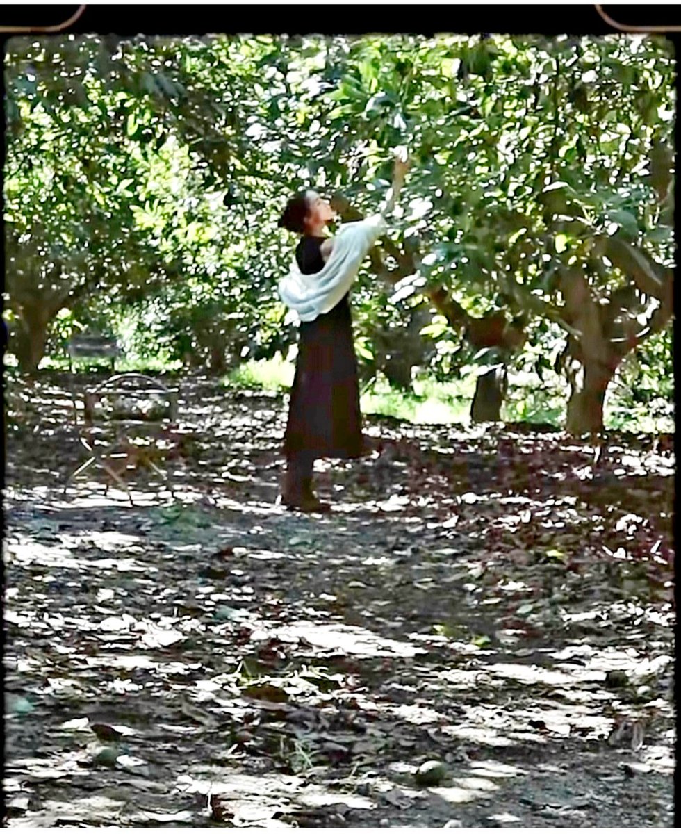 They tried to bury her but didn't know she was seeds.