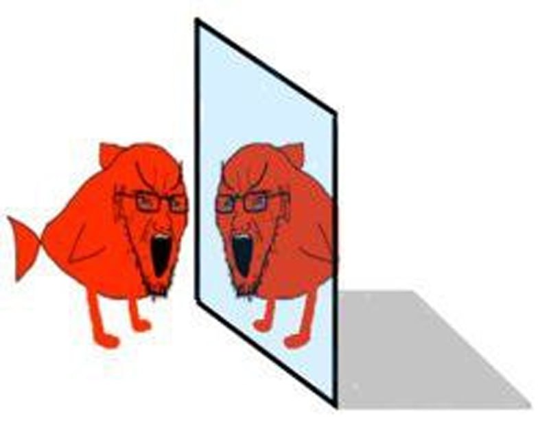 Tay (@monochromemutt) on Twitter photo 