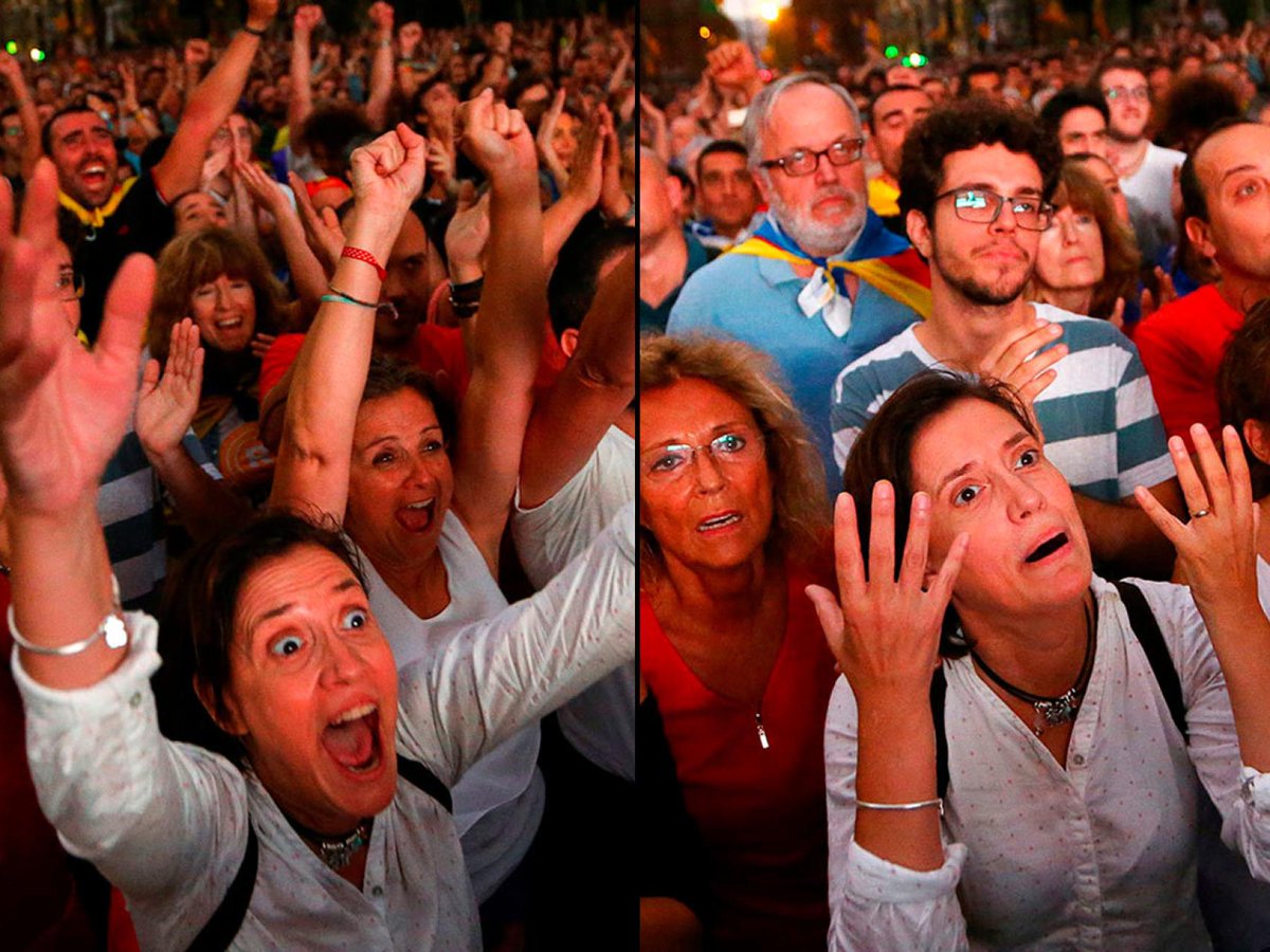 Bernat Castro 🦊 (@bernatcastro87) on Twitter photo 