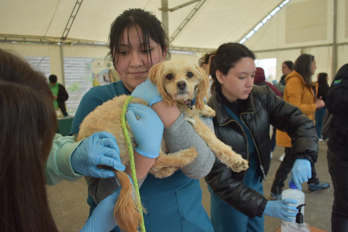 🐕 Seminario Regional “Perros, ganadería y biodiversidad: en búsqueda de soluciones” Desde Subdere continuamos incentivando una tenencia responsable de mascotas, buscando un vinculo armónico con las actividades productivas de los territorios.  #TenenciaResponsable