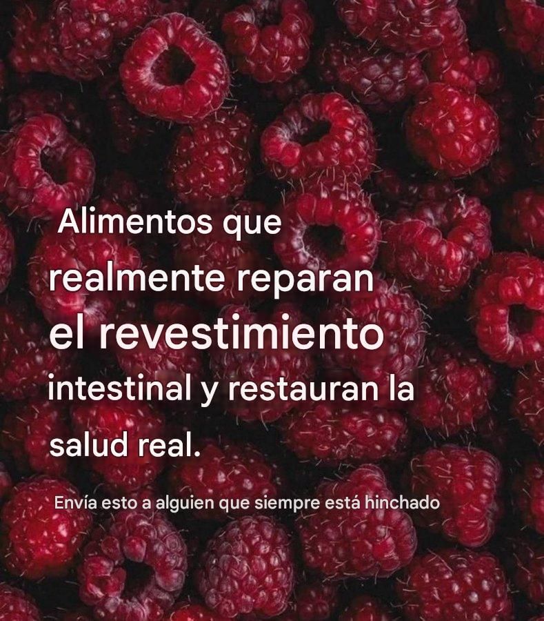 ¿Se siente hinchado, inflamado o lento después de las comidas?

Tu intestino te habla. Y la SOLUCIÓN no son suplementos sofisticados, sino la comida.

Aquí hay 7 tipos de alimentos CURATIVOS que realmente REPARAN el revestimiento intestinal y restauran la salud real 🧵 .