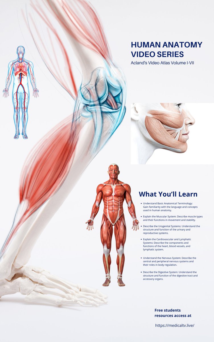 DocsExplainFM's tweet image. 🎥🫀 Featuring real, non-embalmed human dissections that preserve true colour, texture & movement—ideal for medical students & professionals. Stream live 👉 medicaltv.live
#Anatomy #MedicalEducation #MedStudents #Healthcare #Surgery #Learning