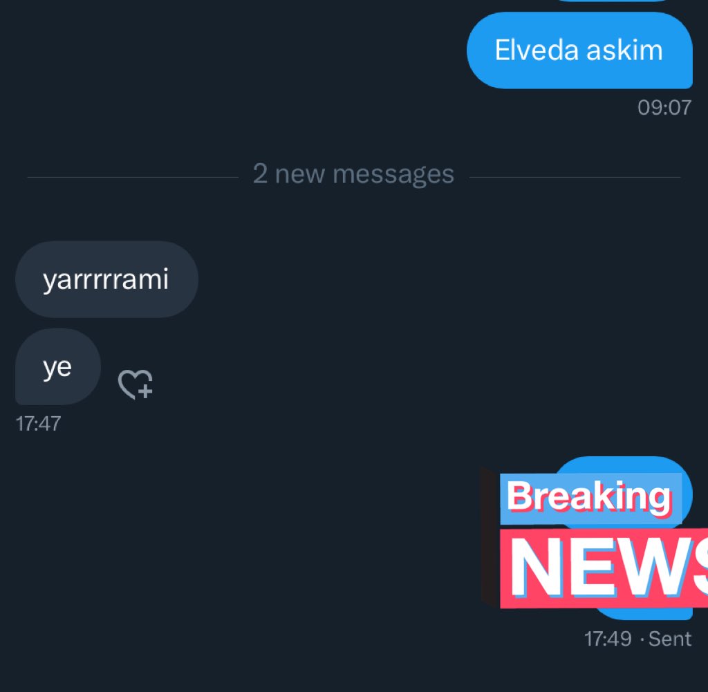 Bizim mesajlara donus hizi